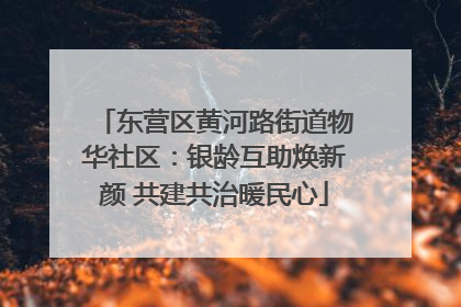 东营区黄河路街道物华社区：银龄互助焕新颜 共建共治暖民心