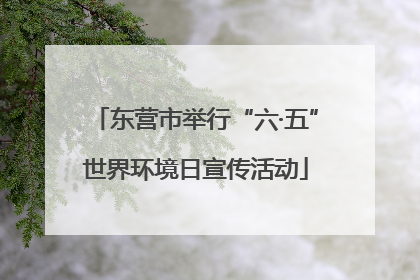 东营市举行“六·五”世界环境日宣传活动