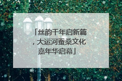 丝韵千年启新篇，大运河蚕桑文化嘉年华启幕