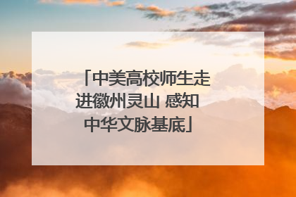 中美高校师生走进徽州灵山 感知中华文脉基底