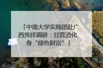 中南大学实践团赴广西凭祥调研：甘蔗渣化身“绿色财富”