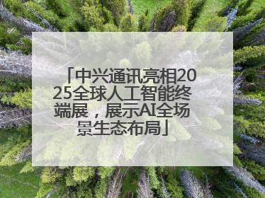中兴通讯亮相2025全球人工智能终端展，展示AI全场景生态布局