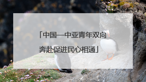 中国—中亚青年双向奔赴促进民心相通
