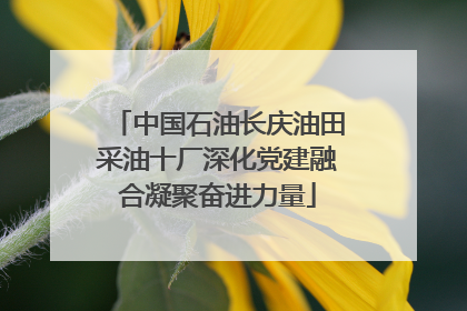 中国石油长庆油田采油十厂深化党建融合凝聚奋进力量