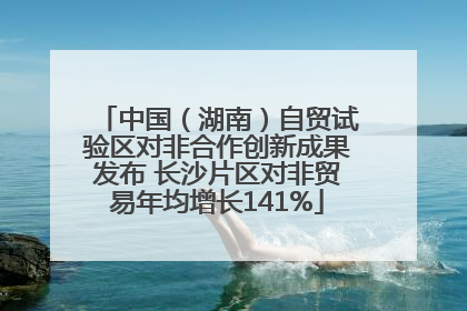 中国（湖南）自贸试验区对非合作创新成果发布 长沙片区对非贸易年均增长141%
