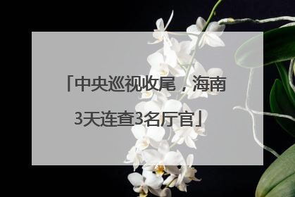 中央巡视收尾，海南3天连查3名厅官