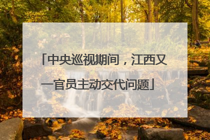 中央巡视期间，江西又一官员主动交代问题