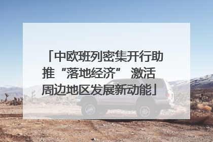 中欧班列密集开行助推“落地经济” 激活周边地区发展新动能