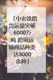 中老铁路货运量突破6000万吨 跨境运输商品种类达3000余种