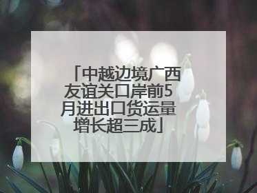 中越边境广西友谊关口岸前5月进出口货运量增长超三成
