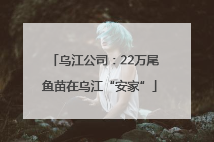 乌江公司：22万尾鱼苗在乌江“安家”