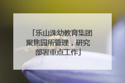 乐山洙幼教育集团聚焦园所管理，研究部署重点工作