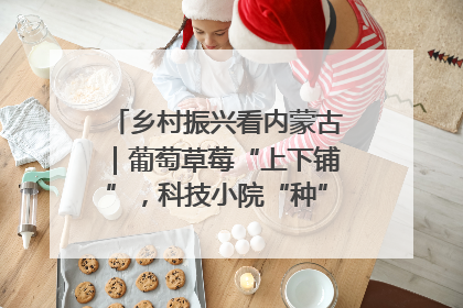 乡村振兴看内蒙古｜葡萄草莓“上下铺”，科技小院“种”出三倍效益