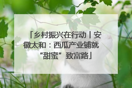 乡村振兴在行动丨安徽太和：西瓜产业铺就“甜蜜”致富路