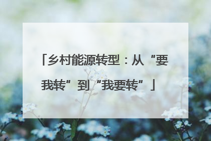 乡村能源转型：从“要我转”到“我要转”