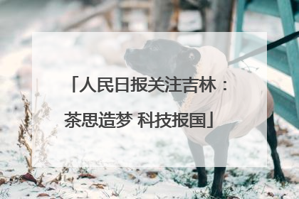 人民日报关注吉林：茶思造梦 科技报国