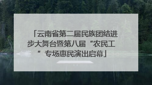 云南省第二届民族团结进步大舞台暨第八届“农民工”专场惠民演出启幕