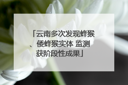 云南多次发现蜂猴、倭蜂猴实体 监测获阶段性成果