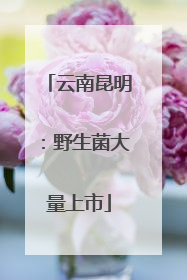 云南昆明：野生菌大量上市