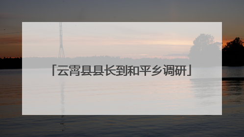 云霄县县长到和平乡调研