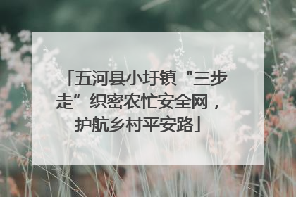 五河县小圩镇“三步走”织密农忙安全网，护航乡村平安路
