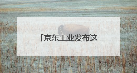 京东工业发布这个大模型，上海“链动众城 万亿降本”计划启动
