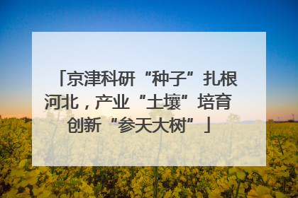 京津科研“种子”扎根河北，产业“土壤”培育创新“参天大树”
