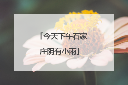 今天下午石家庄阴有小雨