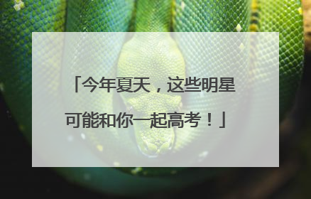 今年夏天，这些明星可能和你一起高考！