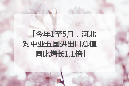 今年1至5月，河北对中亚五国进出口总值同比增长1.1倍