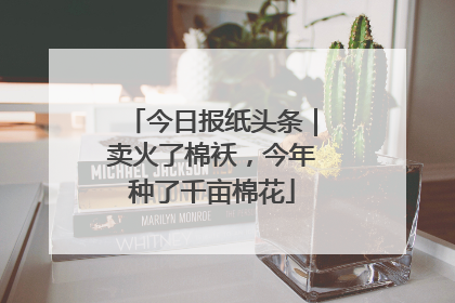 今日报纸头条｜卖火了棉袄，今年种了千亩棉花