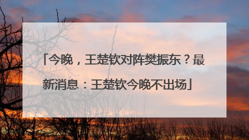 今晚，王楚钦对阵樊振东？最新消息：王楚钦今晚不出场
