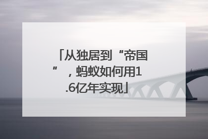 从独居到“帝国”，蚂蚁如何用1.6亿年实现