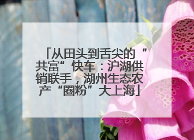 从田头到舌尖的“共富”快车：沪湖供销联手，湖州生态农产“圈粉”大上海