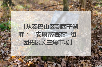 从秦巴山区到西子湖畔：“安康富硒茶”组团拓展长三角市场