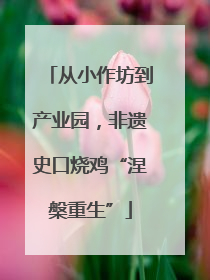 从小作坊到产业园，非遗史口烧鸡“涅槃重生”