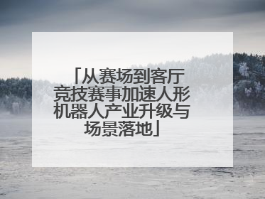 从赛场到客厅 竞技赛事加速人形机器人产业升级与场景落地