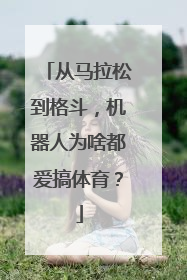从马拉松到格斗，机器人为啥都爱搞体育？