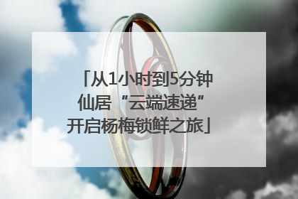 从1小时到5分钟 仙居“云端速递”开启杨梅锁鲜之旅
