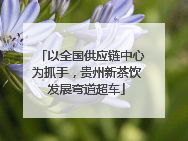 以全国供应链中心为抓手，贵州新茶饮发展弯道超车