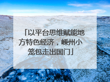 以平台思维赋能地方特色经济，嵊州小笼包走出国门