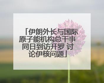 伊朗外长与国际原子能机构总干事同日到访开罗 讨论伊核问题