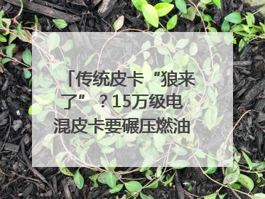 传统皮卡“狼来了”？15万级电混皮卡要碾压燃油车｜汽车风云