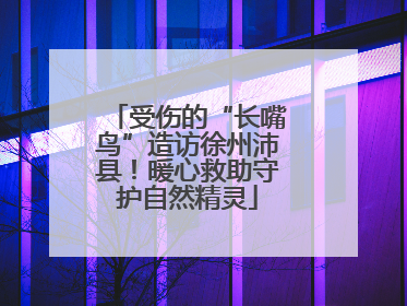 受伤的“长嘴鸟”造访徐州沛县！暖心救助守护自然精灵