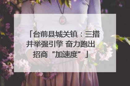 台前县城关镇：三措并举强引擎 奋力跑出招商“加速度”