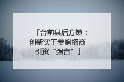 台前县后方镇：创新实干奏响招商引资“强音”