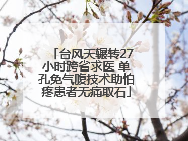 台风天辗转27小时跨省求医 单孔免气腹技术助怕疼患者无痛取石