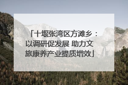 十堰张湾区方滩乡：以调研促发展 助力文旅康养产业提质增效