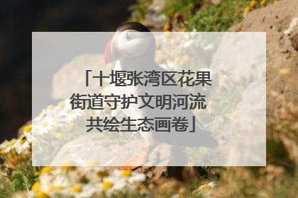 十堰张湾区花果街道守护文明河流 共绘生态画卷