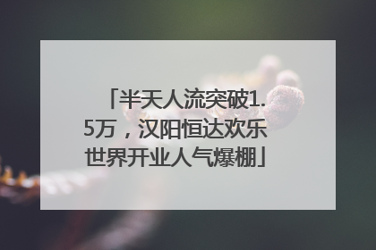 半天人流突破1.5万，汉阳恒达欢乐世界开业人气爆棚